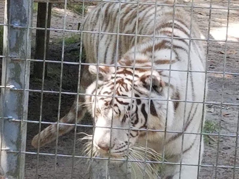 Tregembo Animal Park
