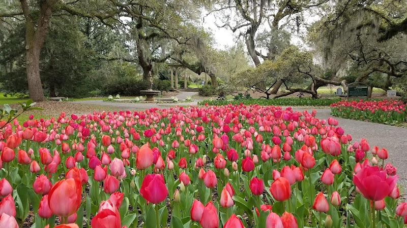 Airlie Gardens