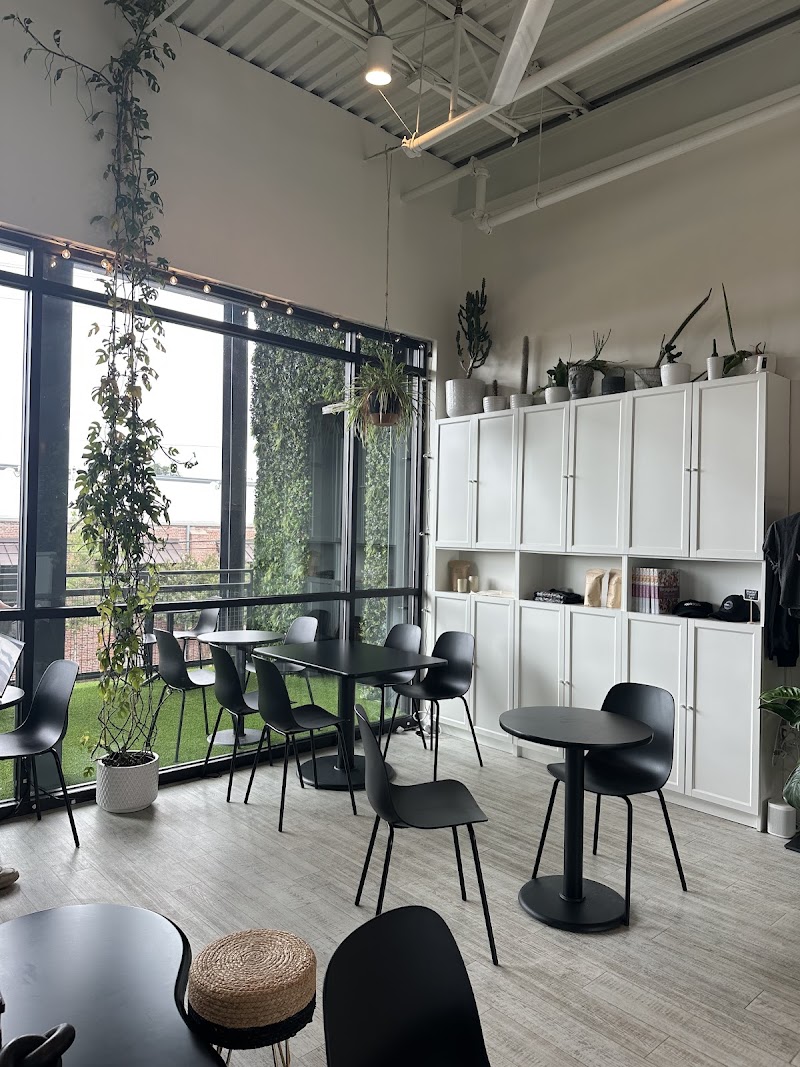 Café Mata